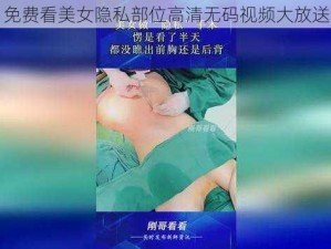 免费看美女隐私部位高清无码视频大放送