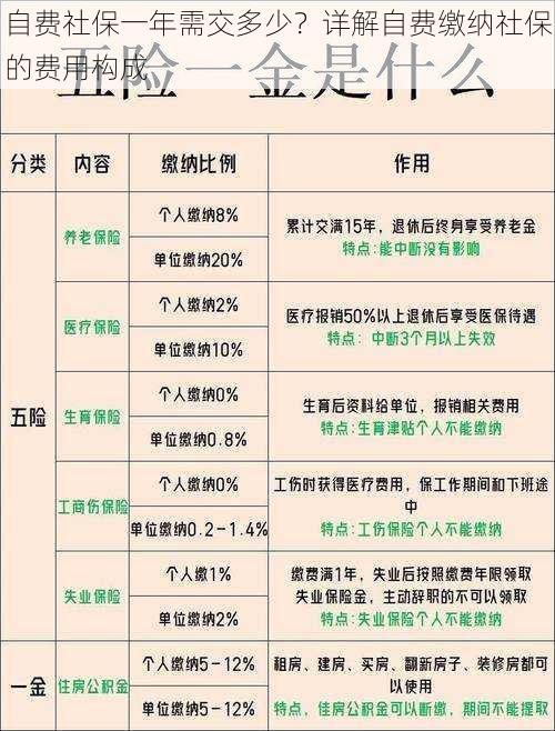 自费社保一年需交多少？详解自费缴纳社保的费用构成