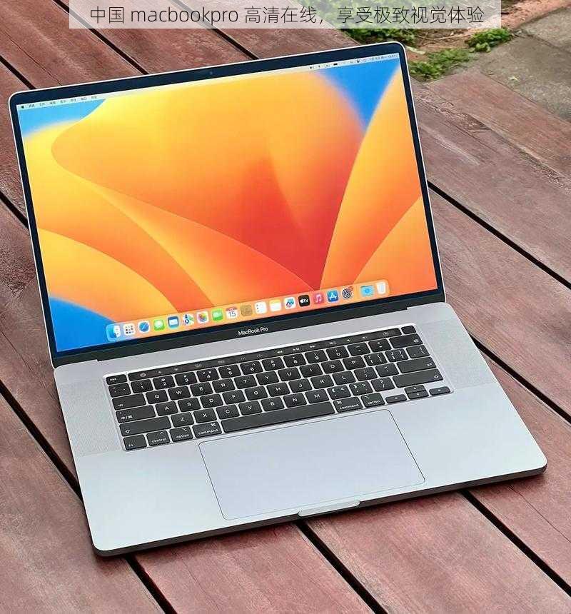 中国 macbookpro 高清在线，享受极致视觉体验